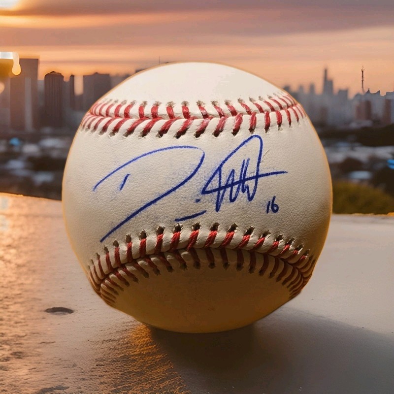 Danny Willett Signed 2016 MASTERS BASEBALL Beckett Authentication BAS - Augusta