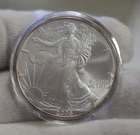 2006 US Silver Eagle $1 Nice Unc