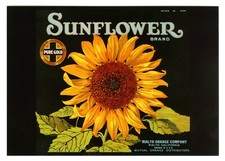 SUNFLOWER~HISTORICAL FRUIT CRATE LABEL ART RIALTO CALIFORNIA~NEW 1986 POSTCARD