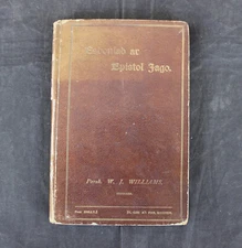 ANTIQUE 1899 "ESBONIAD AR EPISTOL IAGO" BY W. J. WILLIAMS ~ WELSH LANGUAGE