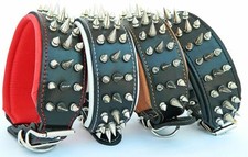 Echtleder Hundehalsband mit Stachelnieten und Leder Innenpolsterung. Alle Gr&ouml;&szlig;en