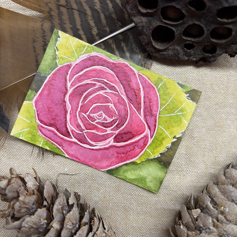 Watercolor Original AmberInWatercolor ACEO cute Camellia Rose Flower Floral