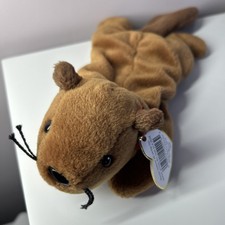 Ty Beanie Babies Bucky the Beaver 1996