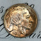 * 1925-P * NEAR+ GEM BU MS BUFFALO NICKEL * FROM ORIGINAL COLLECTION