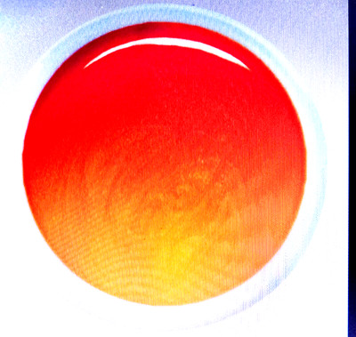 UV Farbgel *Metallic Orange* Beste Qualität* by PEGA NAILS schöne Frühlingsfarbe