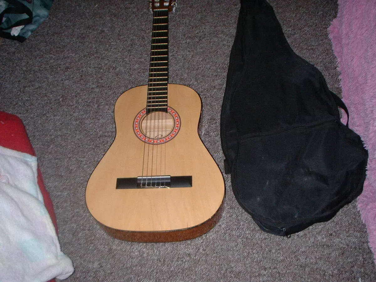 Eleca Dag 36 Acoustic Guitar In Bag Designed In Usa eBay