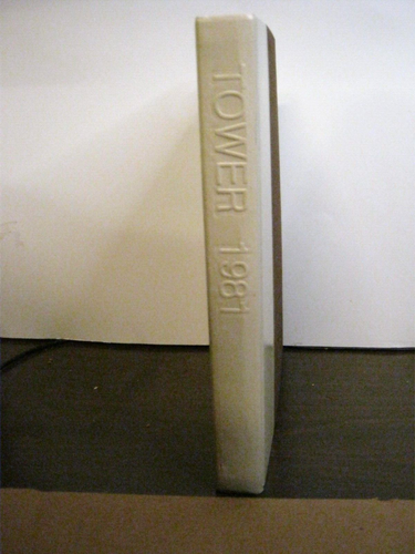Anuario de torre 1981 para Wheaton College Illinois - Imagen 2 de 4