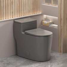 WinZo open box Modern Dual Flush Elongated One Piece Toilet 12-inch Rough in