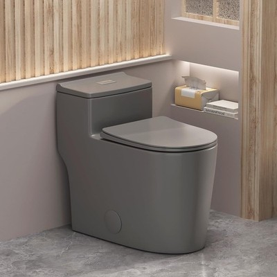 WinZo open box Modern Dual Flush Elongated One Piece Toilet 12-inch Rough in