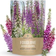 Mixed Color Foxglove Seeds 500,000 Flower Seeds in 2 oz Bulk Pouch 220.64 per gallon
