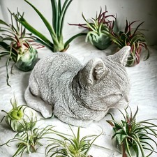 Steinfigur Katze Mia, Steinguss für Haus und Garten, Frostsicher 7,8 kg