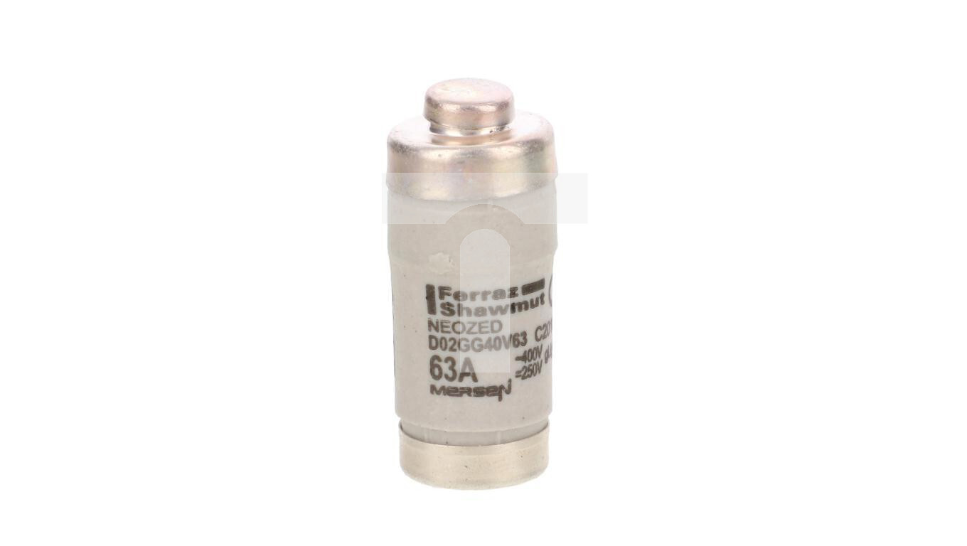 Fuse insert D02 gG 400VAC /250VDC 63A C201873 /T2UK