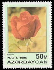 AZERBAIJAN 598 - Garden Roses "Burgundy Rose" (pb76254)