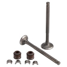 Ventil Set Einlass & Auslass 69mm für GY6 50...