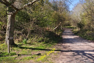 Foto 12x8 West Somerset: Small Track Minehead A track in Richtung Hil c2014