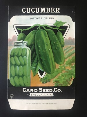 1920s Litho Antique Vintage Card Seed Co. Packet Pack Cucumber Boston Pickling