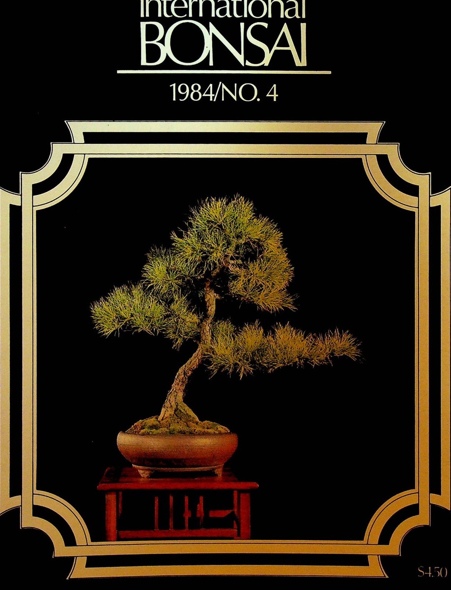 International Bonsai Magazine 1984 #4 Black Pine Scrub Pine | eBay