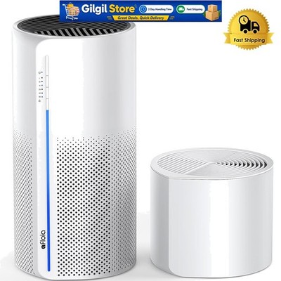 Quiet Air Purifier & Humidifier with Colorful LED Lights - Ideal for Homes