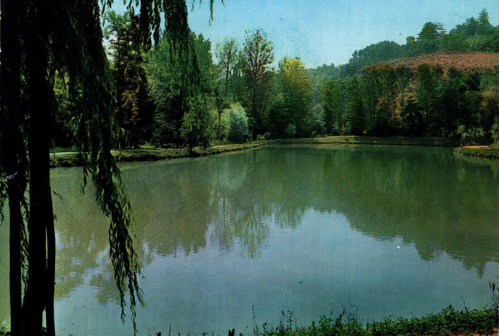 Foto 1 di 2