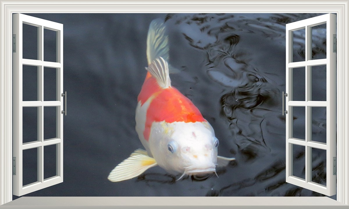 Koi Carp Fish 3D Magic Window Wall Art Self Adhesive Vinyl Sticker
