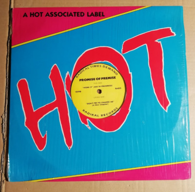 PROMISE OF PREMISE - WORK IT / DON'T TRY TO CHANGE ME -  12''-MAXI - US 1990