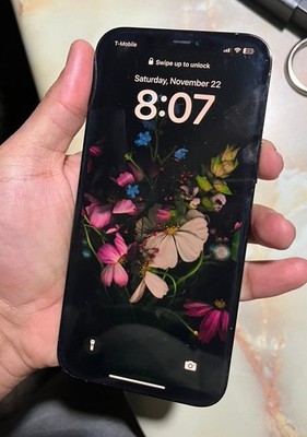 Apple iPhone 12 PRO MAX 256 A2342 Unlocked Smartphone