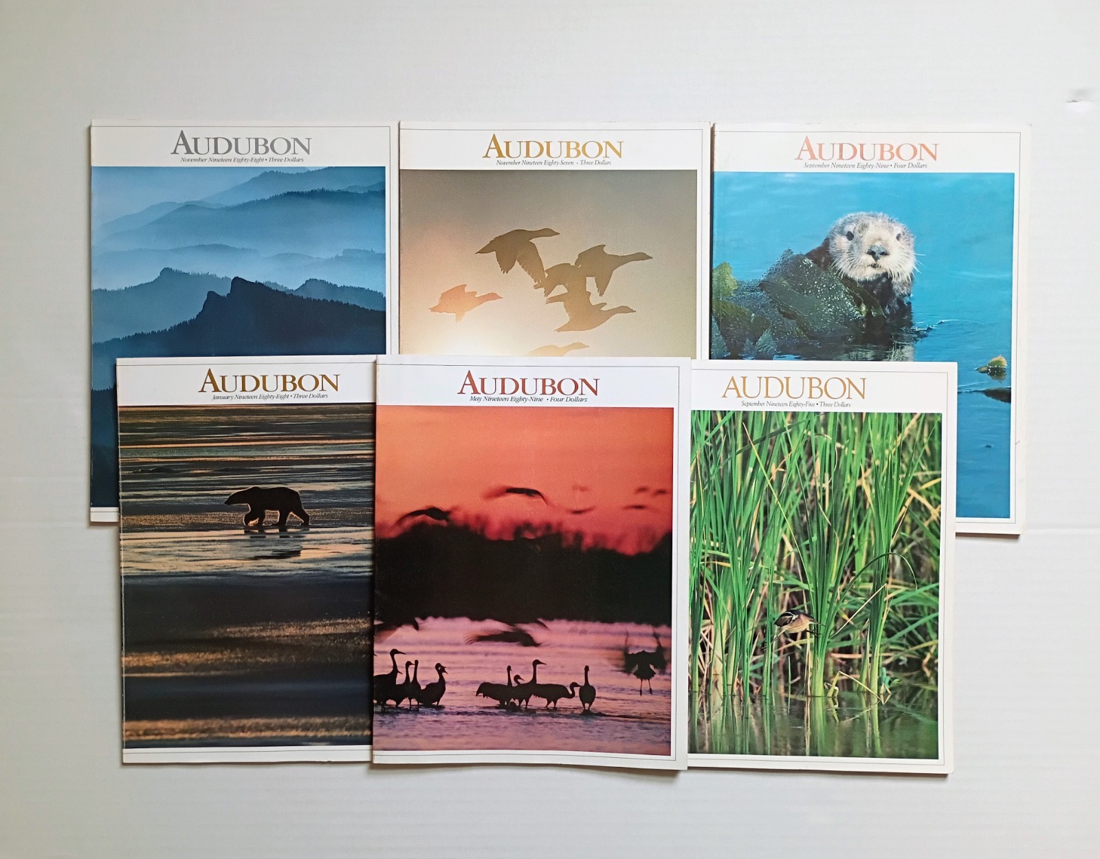Vintage Audubon Magazine Lot of 6, Nature magazines, coffee table decor