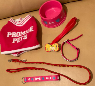 Build A Bear Promise Pets Lot Of 9 Varsity Jacket 5 Collars 2 Leashes & Dish