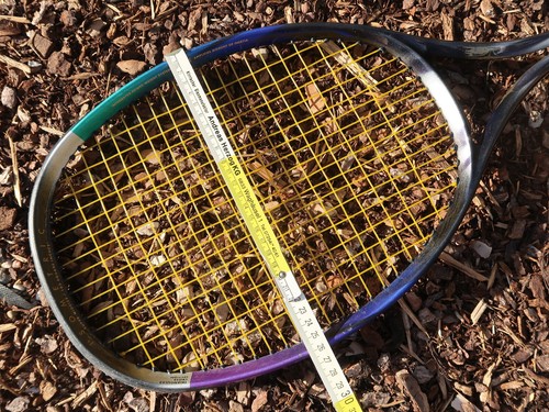 Yonex - Super RQ 500 - L3 - 4 3/8 - Tennisschläger Tennis Racket mit KNAX! - Picture 11 of 12