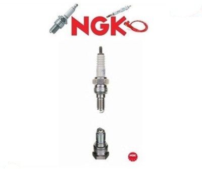 NGK 7502 Candela Di Accensione - Ricambio Originale Per Impianto Elettrico Auto E Moto - 4