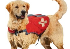 Top Paw Neoprene Dog Life Jacket Preserver Rescue Handle Reflective XS M L XL