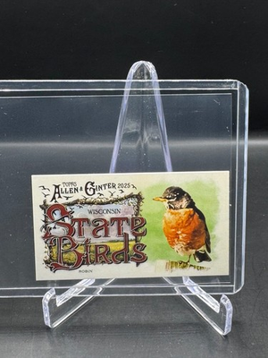 #ad #ad 2025 ALLEN amp; GINTER ROBIN MINI STATE BIRDS WISCONSIN #SB 49 $3.00