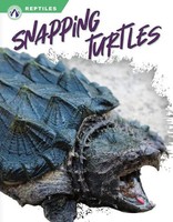 Snapping Turtles | Shannon Jade | Englisch | Buch | Gebunden | 2023