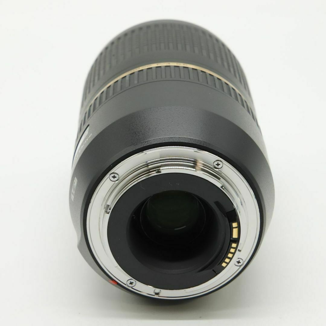 TAMRON SP 70-300mm F4-5.6 Di VC USD Telephoto Zoom Lens for Canon