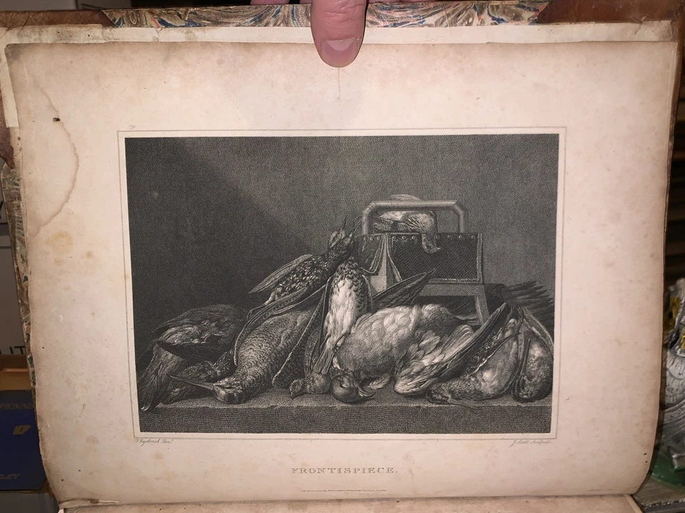 1803, 1st, 2 Vol, THE SPORTSMAN'S CABINET, DOG BREEDS AND FIELD SPORTS, w PLATES - Image 3 of 4