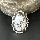 Foto 12 di 13