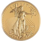 2013-W American Gold Eagle 1 oz Proof — photo from another recent sale