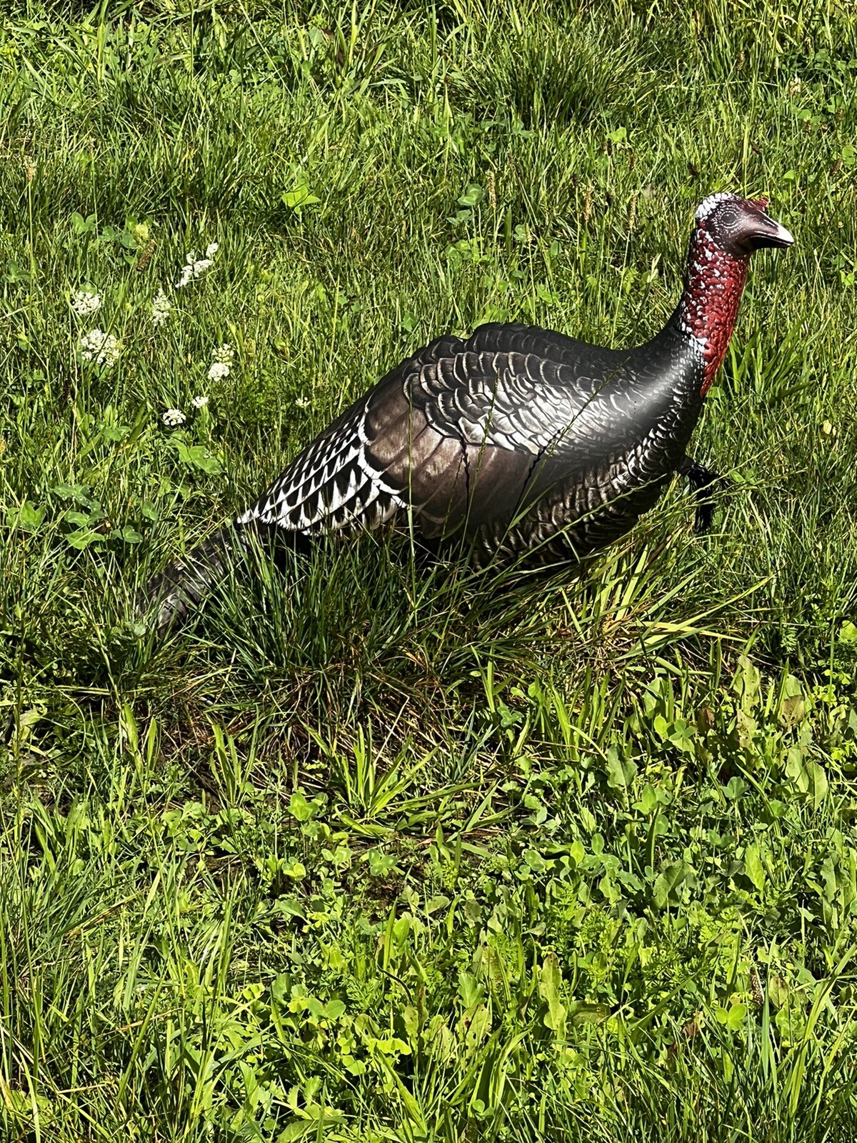 Ultra real Jake turkey decoy Packable Inflatable Decoy Easy Carry eBay