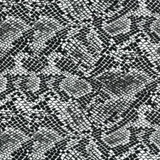 Hydrographics Dip  Film Water Transfer Printing Black Large Snake Pattern AP-161