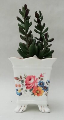 St. George kleiner quadratischer Pflanzkübel Übertopf mit Füßen Chintz Blumenmuster