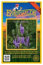 Semillas de flores silvestres de verbena canosa de 1 oz - Paquete de semillas de Mylar Everwilde Farms