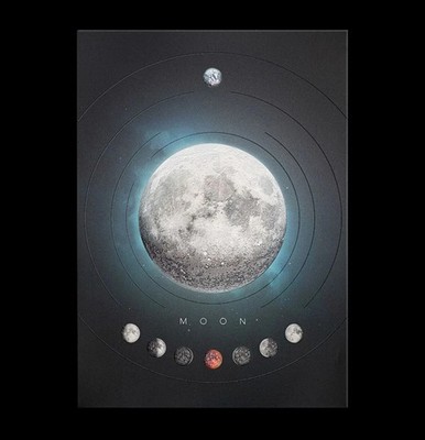 Displate Limited Edition Destination: Moon XXX/500 Neu&OVP