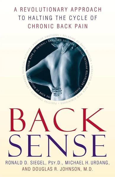 Back Sense A Revolutionary Approach To Halting The Cycle Of Chronic Back Pain-image