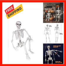 Life Size Halloween Skeleton 165cm Posable Joints Weather-Resistant Indoor
