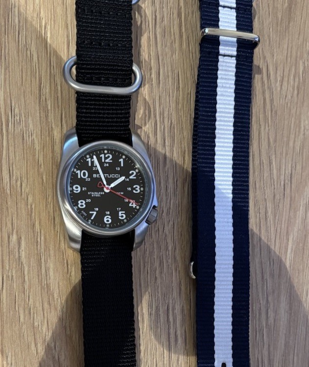 Bertucci A-1S Field Watch | eBay