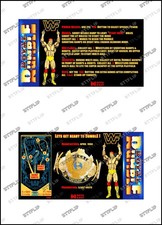 Data East ROYAL RUMBLE WWF 1994 Cartes Instructions Flipper Custom V2 Plateau