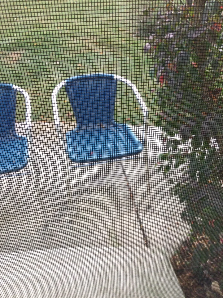 Moderna contemporánea apilable AZUL MIMBRE Y CROMO PATIO PATIO TERRAZA 21x22x28 Foto 3 de 4