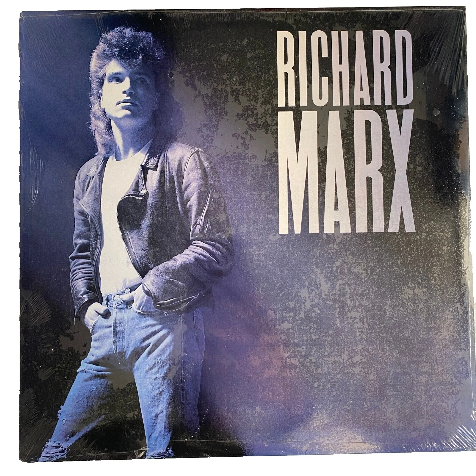 Richard Marx Pop Vinyl Records