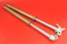 2008 - 2009 Suzuki RMZ250 RMZ 250 Front Fork Suspension Dampener Unit Set