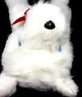Bild 9 von 12